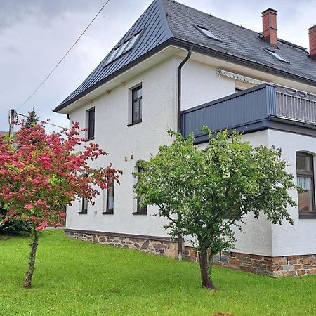 Ferienwohnungen Reiterhof Lienemann Grünbach 外观 照片